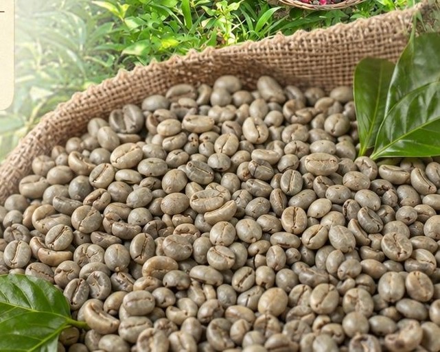 Kopi Robusta Ijen Premium Green Coffee Beans – All Grades from Indonesia